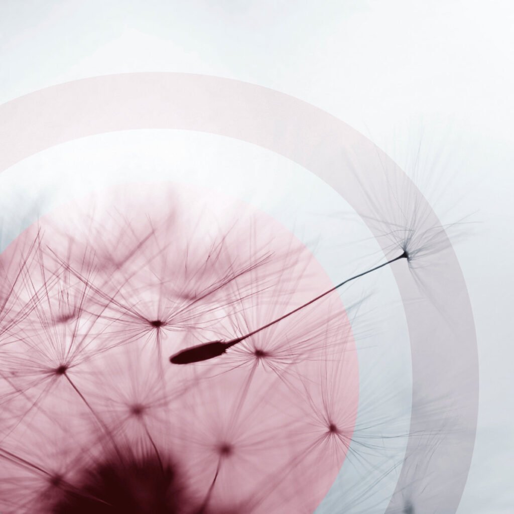 Cover of ASCENSION remastered in 2025.